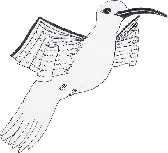 PoliBi